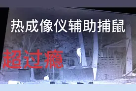 老鼠泛滥，用热像仪一照，手动捕鼠笼轻松捕捉它们视频封面