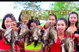 越南佬连老鼠都不放过，老鼠当美食，
越南女人美容保健靠老鼠肉视频封面