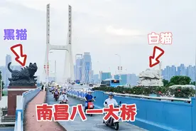 实拍南昌八一大桥，桥头雕塑竟是一白一黑两只猫，太不可思议了视频封面