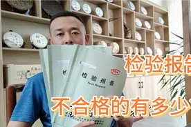 峰哥拿4款普洱茶去检测，全检项目有53项，超标的项目有几项？视频封面