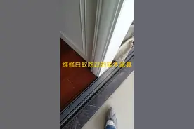 白蚁啃过的实木还能维修吗视频封面