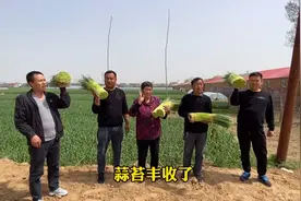 中牟：一首“蒜苔之歌” 一幅丰收美景视频封面