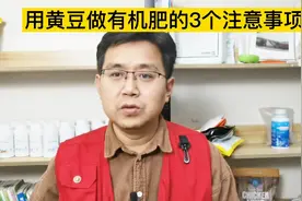 用黄豆做有机肥分为两种情况！大量腐熟一定要添加过磷酸钙！
