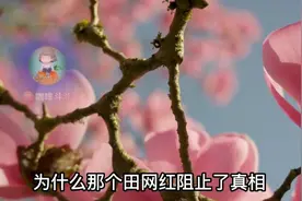 为什么那个田网红阻止了zhēn xiàng视频封面