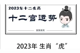 十二生肖运势之虎视频封面