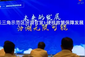 长三角示范区先行区汾湖官宣简介1:硬核政策保障发展视频封面