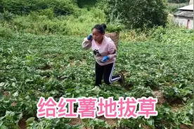 一个人的力量还是不够大，一天只做了一点，又要回家带孩子做饭视频封面