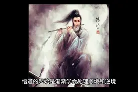 悟道三个阶段视频封面
