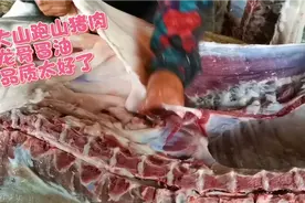 湖南黄小仙卖跑山黑土猪肉，40一斤还抢不到，一头猪顺丰运费2700视频封面