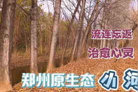 郑州市内原生态小河，一个可以治愈心灵的地方，你来过这吗？视频封面