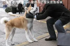 大叔意外离开小八接收不了现实苦苦等候视频封面