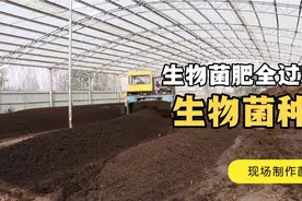 生物有机肥菌肥的现场制作过程，保密资料！视频封面