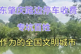 广东肇庆路边停车收费，专坑百姓。明摆着乱收费