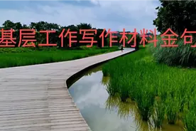 基层工作写作材料金句（排比句）视频封面
