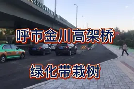 呼市金川高架桥下绿化非常好视频封面