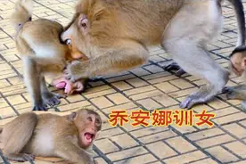 乔安娜动用乔氏家法教训两个捣蛋女儿，打的珍妮放声痛哭视频封面