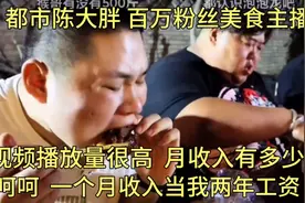 都市陈大胖！百万粉丝播放量高收入有多高？一个月当我两年工资！视频封面