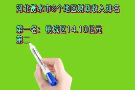 河北衡水市6个地区财政收入排名视频封面