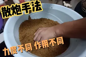 黑坑鲤鱼散炮手法 力度不同作用目的不同 状态更不同视频封面