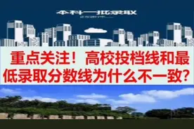重点关注，高校投档线和最低录取分数线为什么不一致？视频封面