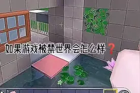 ＃如果游戏被禁世界会怎么样？＃视频封面