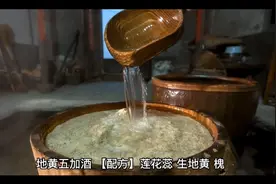 地黄五加酒视频封面