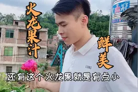 原来火龙果汁这么好喝！现摘现做，和冬哥抢着喝，直言可以出摊了视频封面