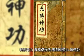 九阳真经 全本视频封面