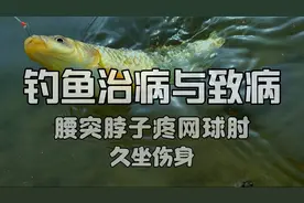 最健康的钓法，养生养心养眼。能达天人合一之境界，赛神仙！视频封面