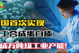 国际巅峰突破，我国首次实现人工合成蛋白质！可达万吨级工业产能视频封面