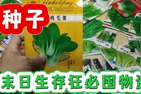 种子，末日生存狂必囤物资视频封面