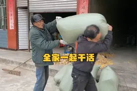 玉米迎来最终的丰收，全家出动一起干农活，场面温馨又搞笑！视频封面