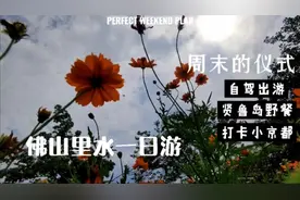 佛山自驾 内有彩蛋 无脸男出没 打卡小京都视频封面