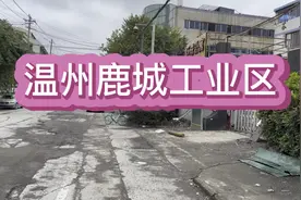 记录鹿城工业区带大家现场走走昔日的繁荣今日的凄凉工厂都拆完了视频封面