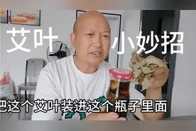 艾叶十白酒十生姜制作小妙招，膝关节肩关节不再烦恼视频封面