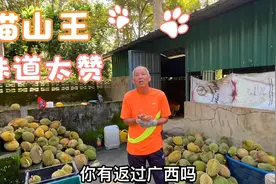 马来西亚榴莲园主：这里七成是广西容县人，平时沟通讲容县话视频封面