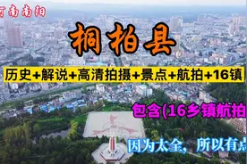 南阳朱立朝实拍，桐柏县城的样子，含十六乡镇的航拍，你见过吗？视频封面