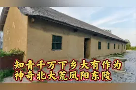 1968知青千万下乡，农村天地广阔、大有作为，神奇北大荒凤阳东陵视频封面