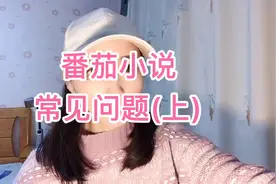 番茄小说常见问题（上）视频封面