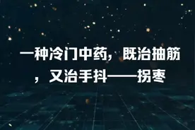 一种冷门中药，既治抽筋，又治手抖——拐枣视频封面