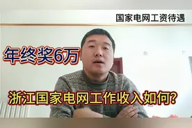 在浙江国家电网工作年收入20万，这样的工资待遇让人羡慕吗？视频封面