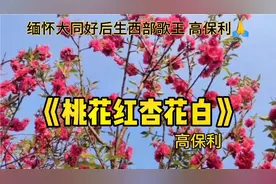 怀念西部歌王 高保利《桃花红杏花白》歌声大气磅礴高亢嘹亮🙏