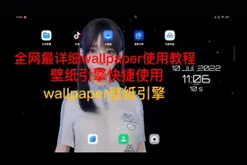 全网最详细wallpaper壁纸引擎使用教程，麻匪姐姐还是妹妹