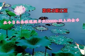 怎样才能在今日头条极速版开出100000+以上的金币视频封面