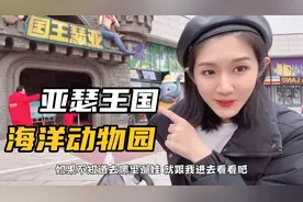 探店海底世界-动物园-游乐场一体的遛娃宝地，北京宝妈快带娃来吧视频封面