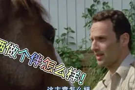 一匹马和牛仔一起旅行的生活故事！对就是牛仔和一匹马的的故事！视频封面