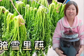 教你宁夏腌雪里蕻的方法，简单实用，腌出来青翠碧绿放一年都不坏视频封面