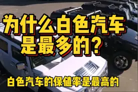 全球汽车超10亿辆，白色汽车超过3亿，为啥大家买车都选择白色？视频封面