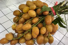 黄皮果吃完果核不要丢，果核原来是个宝，用来煮水喝，好处多多