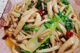 这样做的菜，你吃过吗？茶树菇加上小白菜，吭哧吭哧一顿造！视频封面